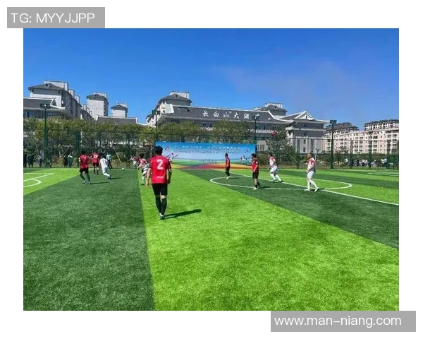 足球明星模拟赛：挑战极限，球场英雄巅峰对决精彩纷呈